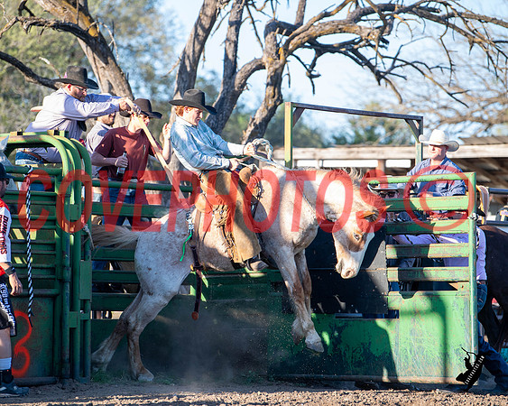 DSC_0049
