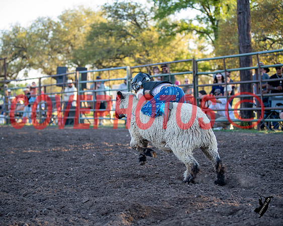 DSC_0131