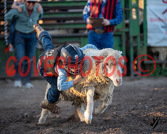 DSC_0169