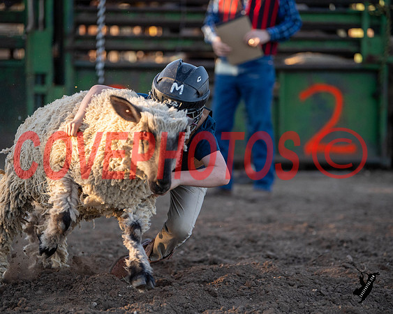 DSC_0201