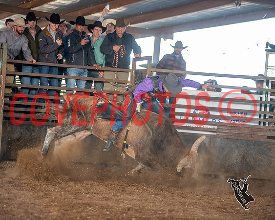 D6Z_0014