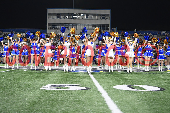 DSC_0376