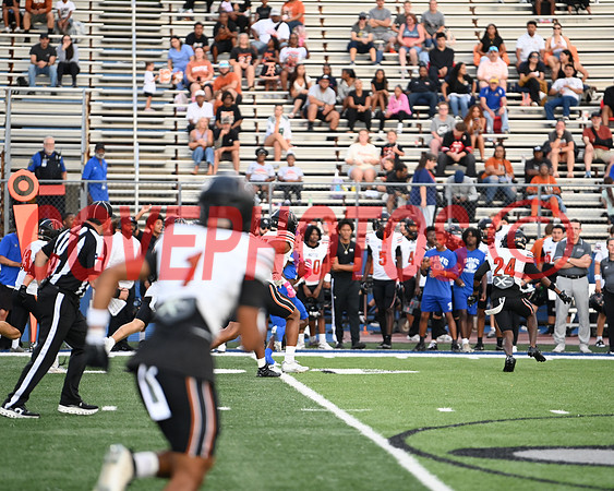 DSC_0249