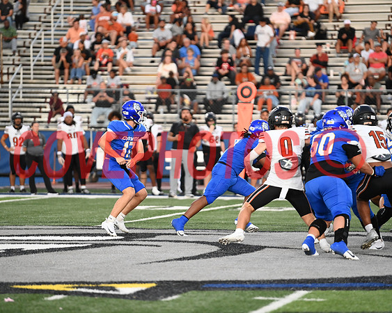 DSC_0291