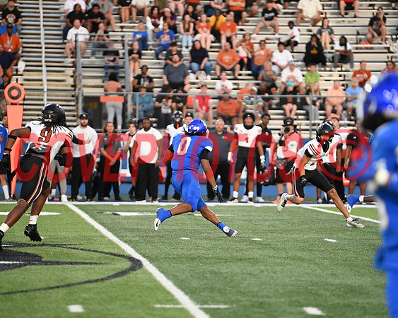 DSC_0295