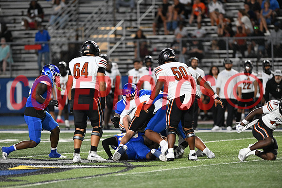 DSC_3515