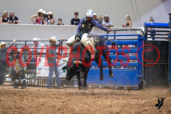 DSC_4100