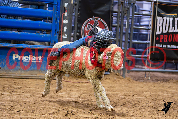 DSC_4212
