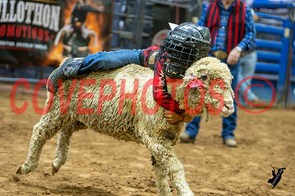 DSC_4217