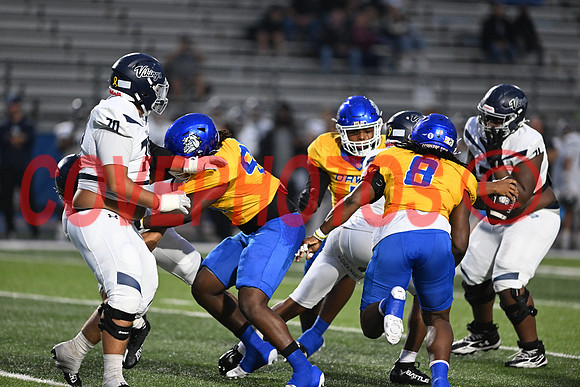 DSC_6223