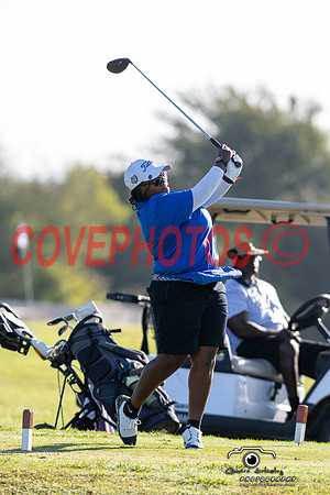 DSC_7335