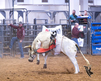 Bullothon 3-22-25 Bulls & Bronc's Hadley's last ride