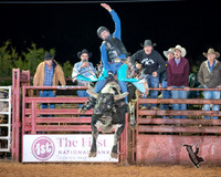 Cowboy Christmas Bull riding Gatesville TX 12-14-24
