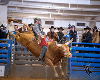 BULL Teams Only Belton 2-22-25